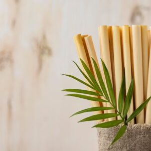 Bamboo Straw