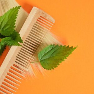 Neem Combs