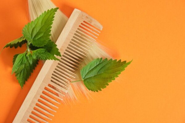Neem Combs